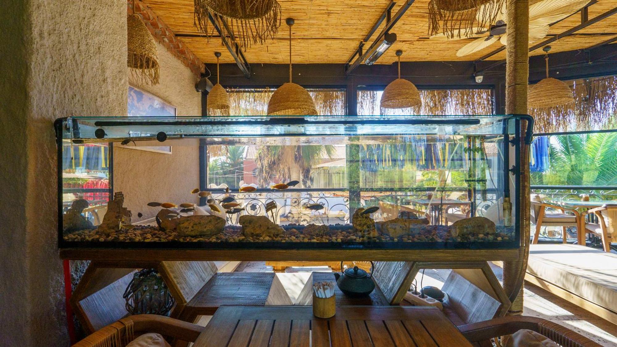 Alacati Aura Plus İzmir Eksteriør bilde